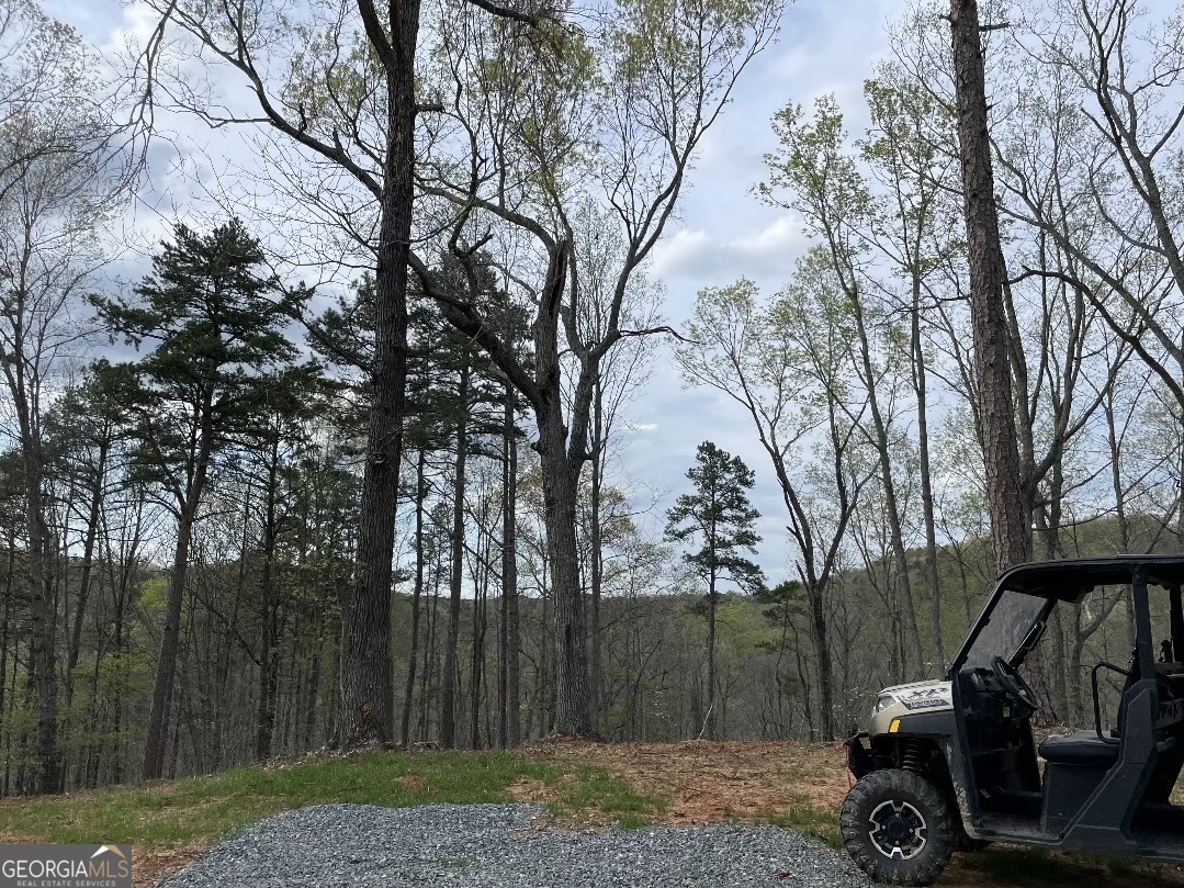 0 Shady Grove Road Talking Rock GA 30175