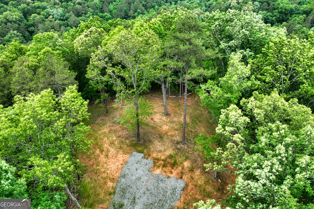 0 Shady Grove Road Talking Rock GA 30175