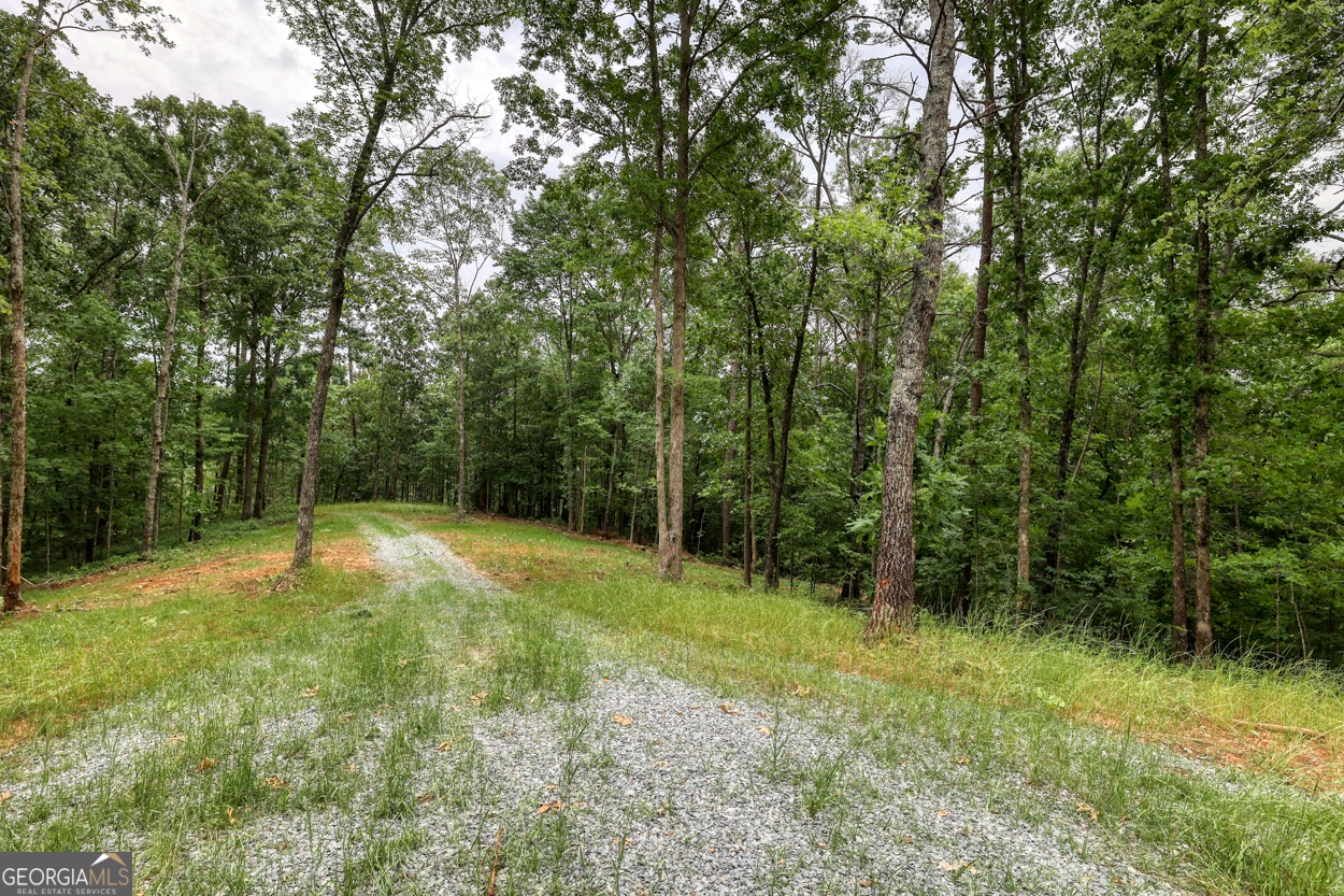 0 Shady Grove Road Talking Rock GA 30175