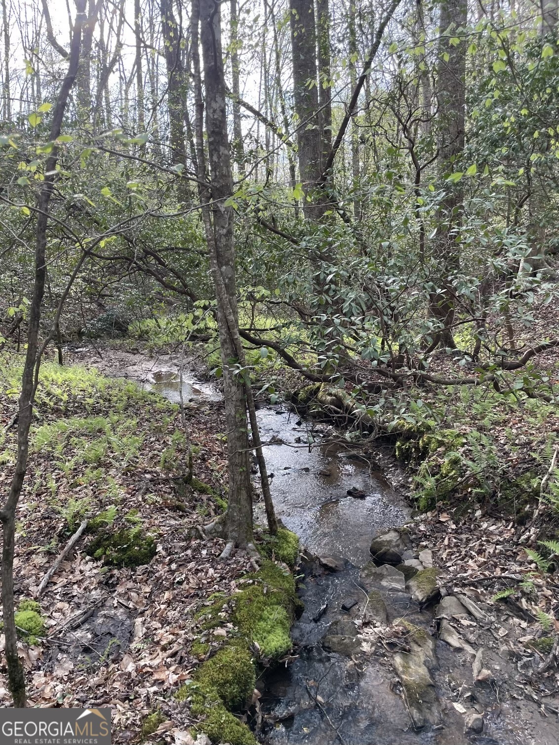 0 Shady Grove Road Talking Rock GA 30175