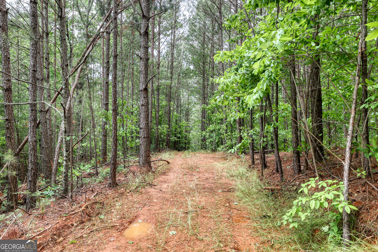 0 Shady Grove Road Talking Rock GA 30175