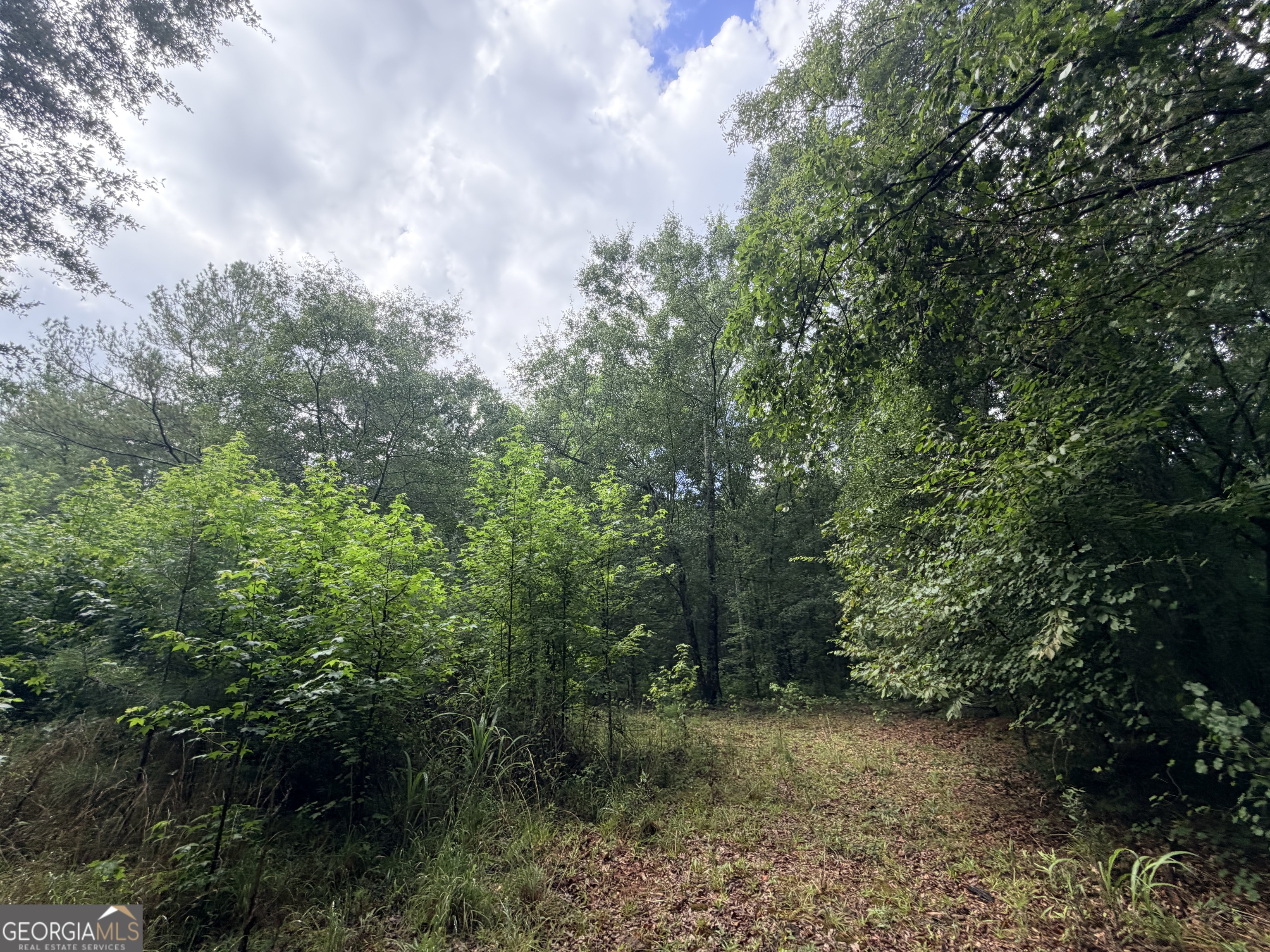 1528 James Adams Road Danielsville GA 30633