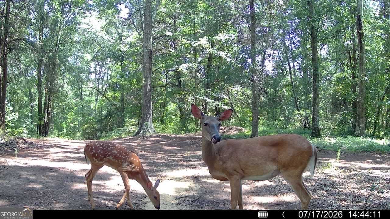 1528 James Adams Road Danielsville GA 30633
