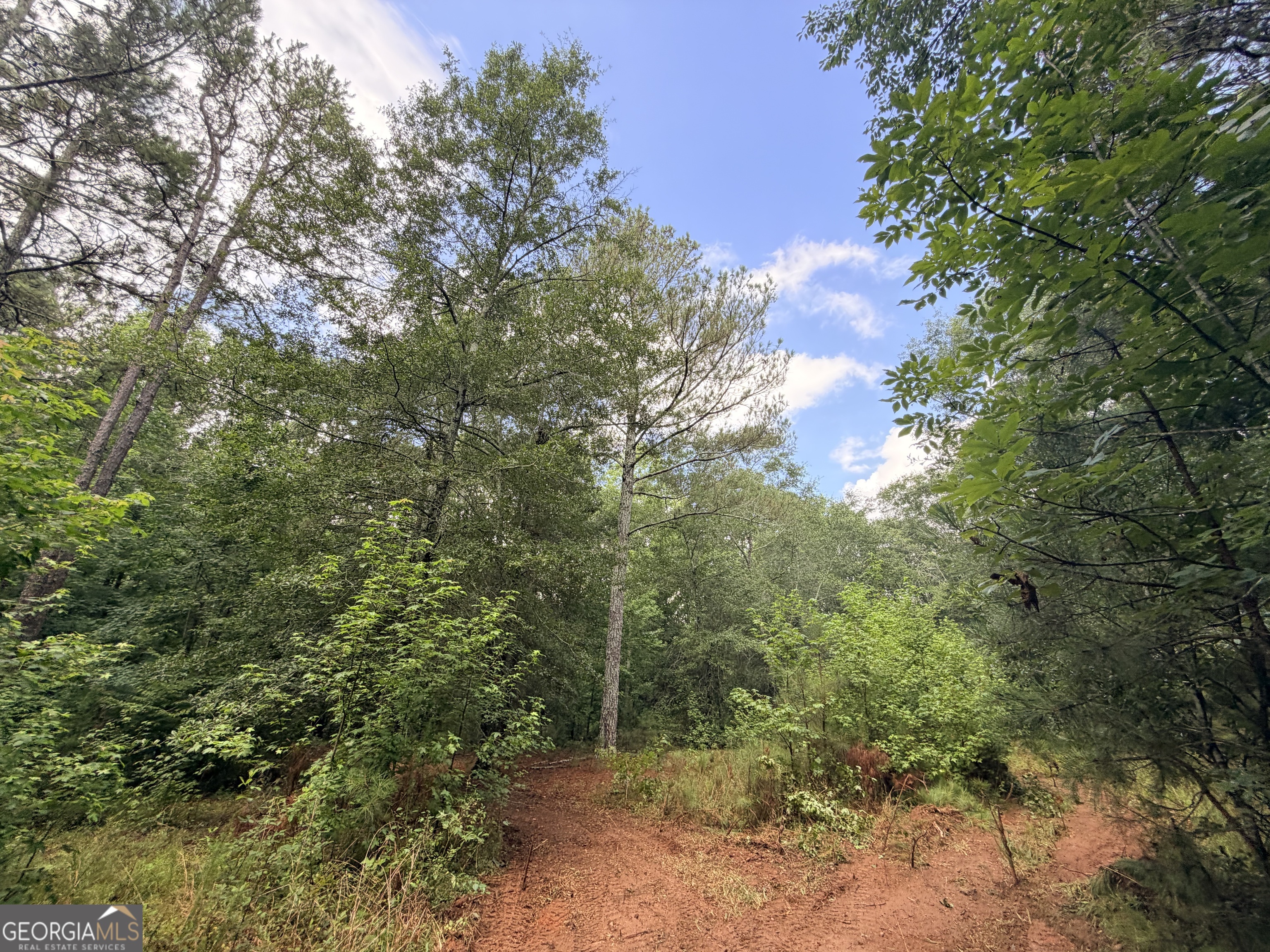 1528 James Adams Road Danielsville GA 30633