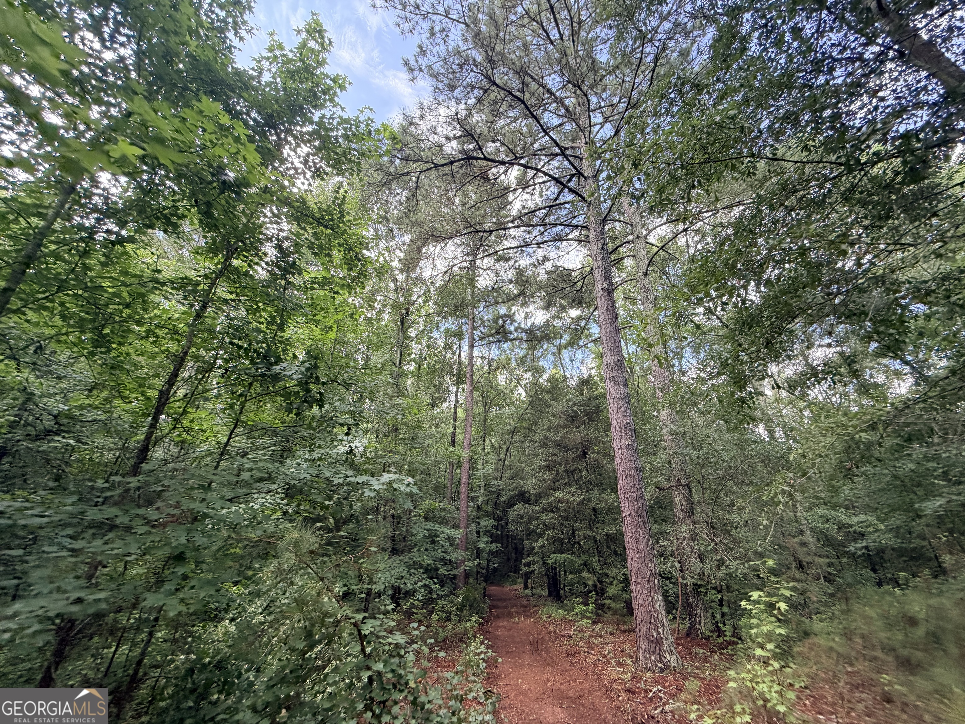 1528 James Adams Road Danielsville GA 30633