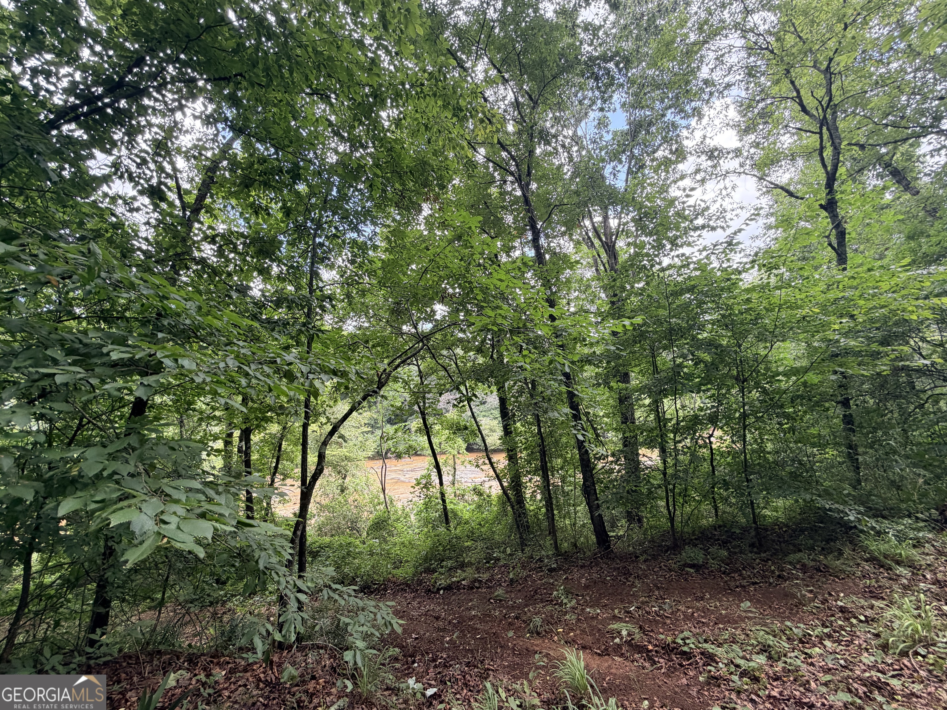 1528 James Adams Road Danielsville GA 30633