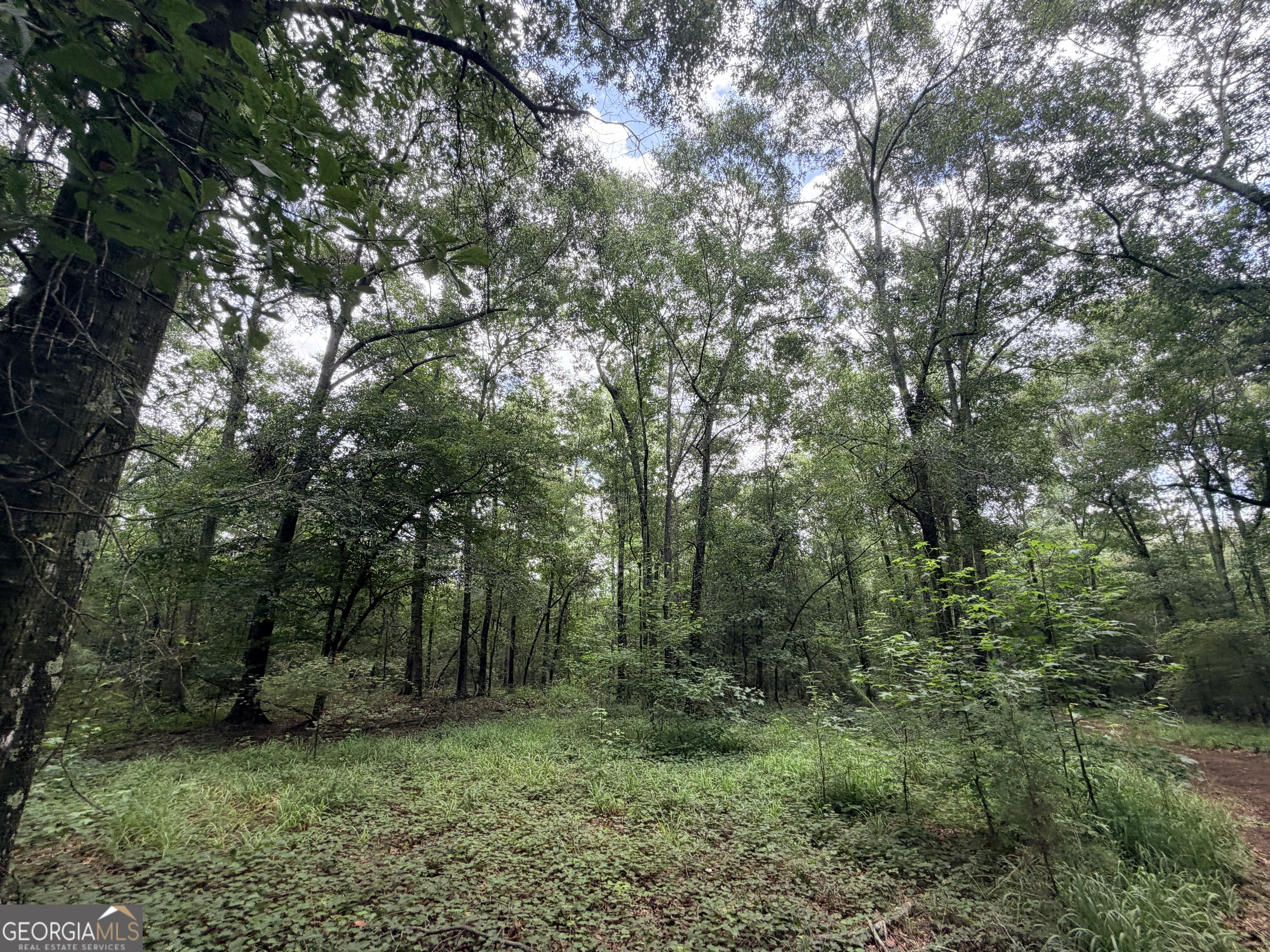 1528 James Adams Road Danielsville GA 30633