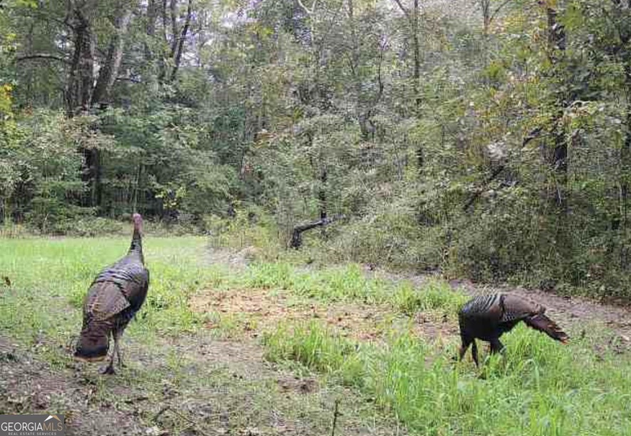 1528 James Adams Road Danielsville GA 30633