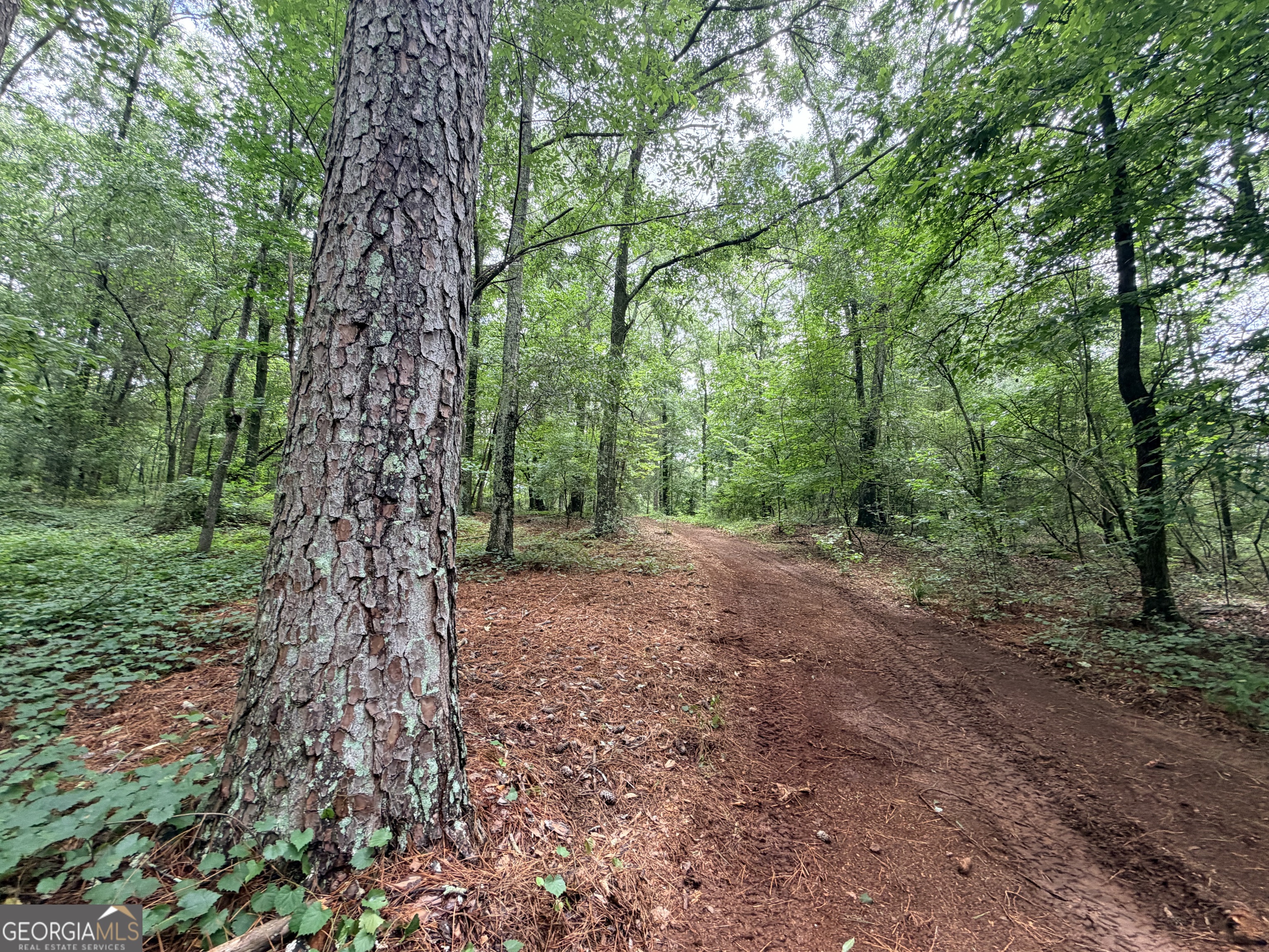 1528 James Adams Road Danielsville GA 30633