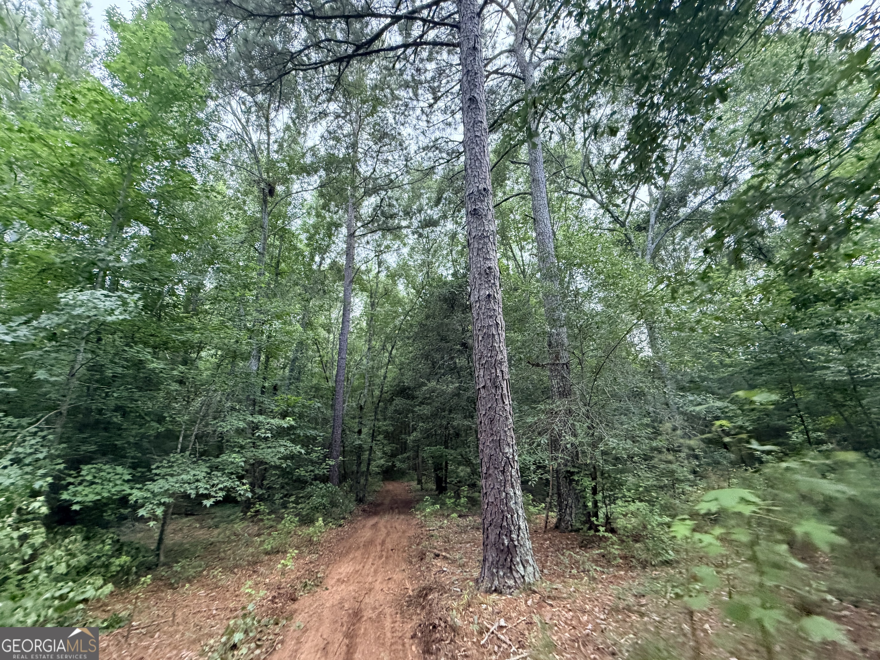 1528 James Adams Road Danielsville GA 30633