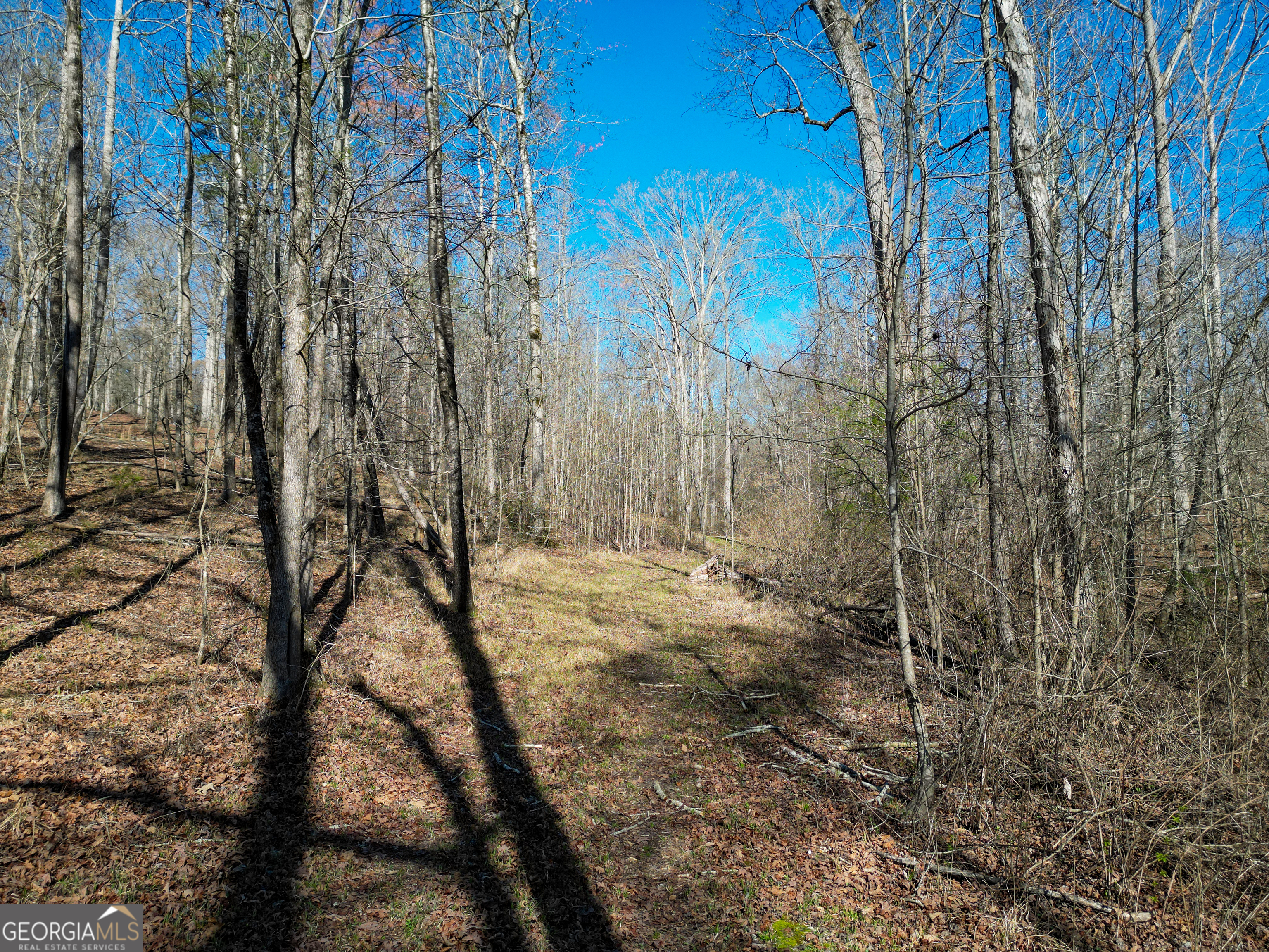 406 Mulberry Road Winder GA 30680