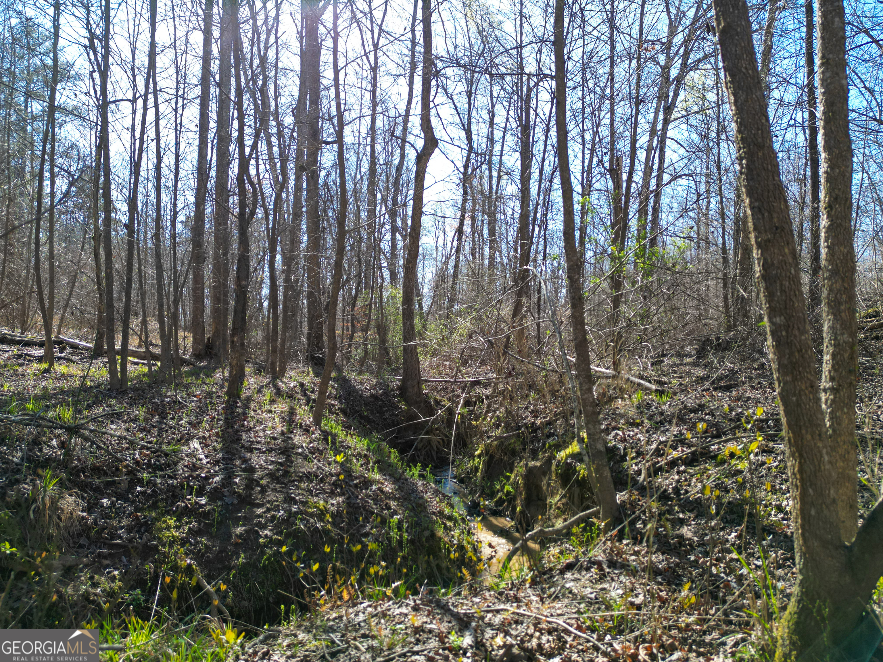 406 Mulberry Road Winder GA 30680