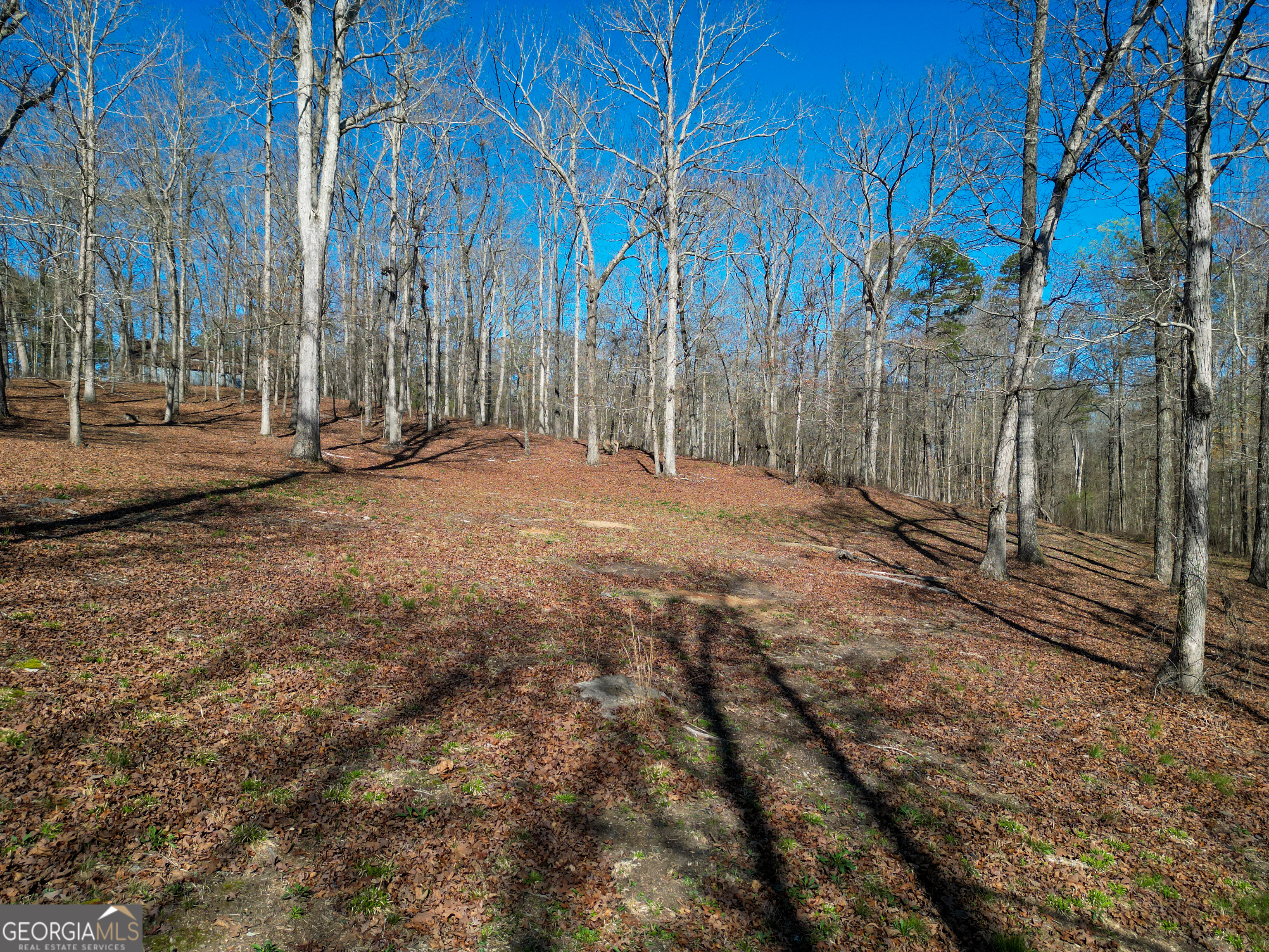 406 Mulberry Road Winder GA 30680