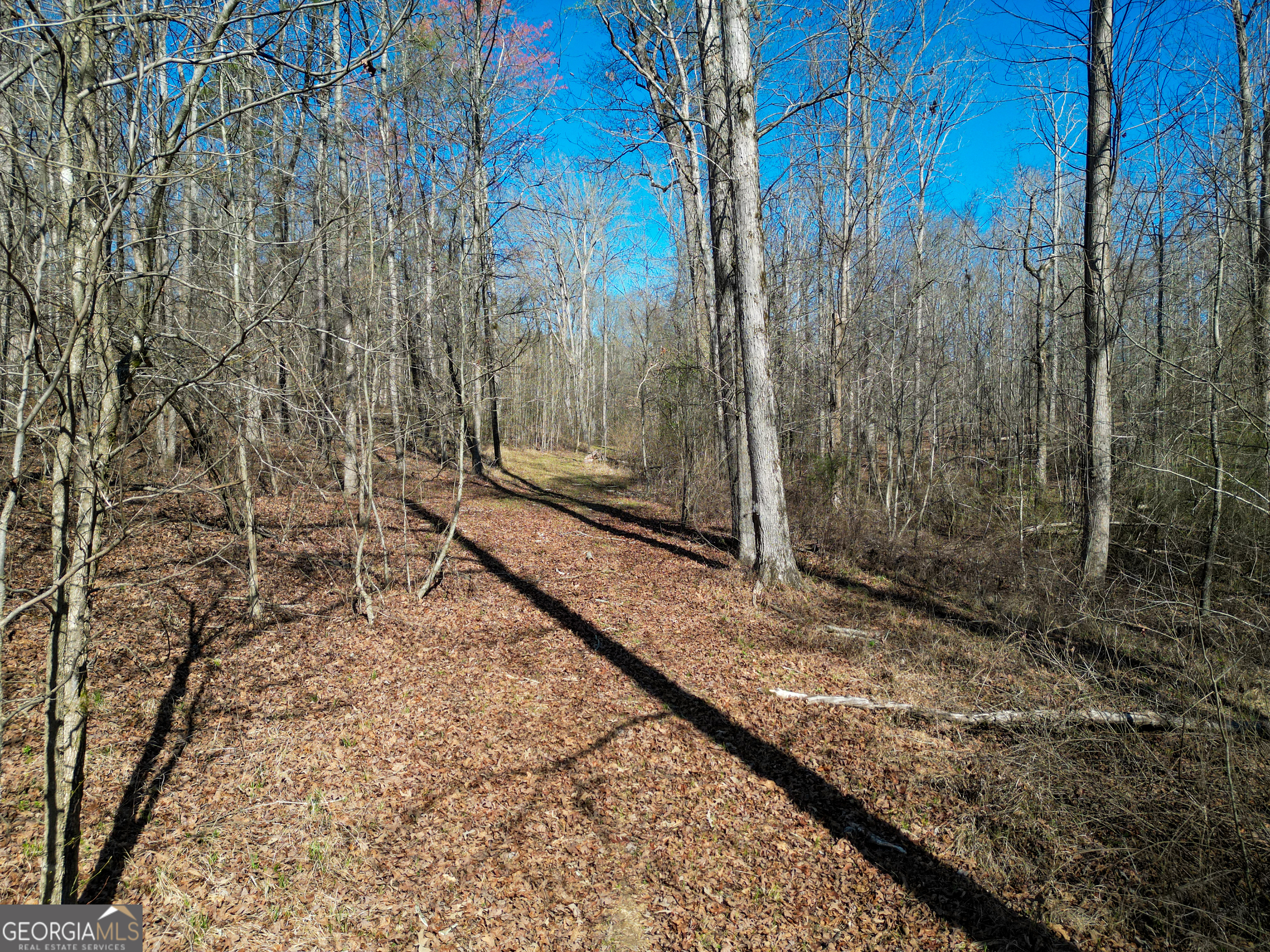 406 Mulberry Road Winder GA 30680
