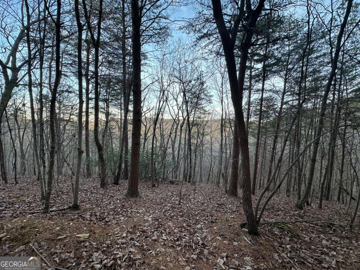 810 Bagwell Trail Waleska GA 30183