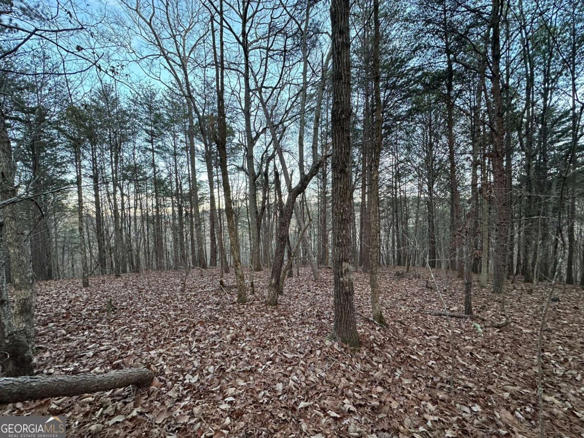 810 Bagwell Trail Waleska GA 30183