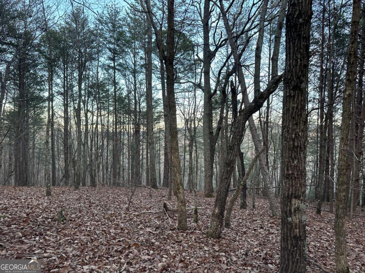 810 Bagwell Trail Waleska GA 30183