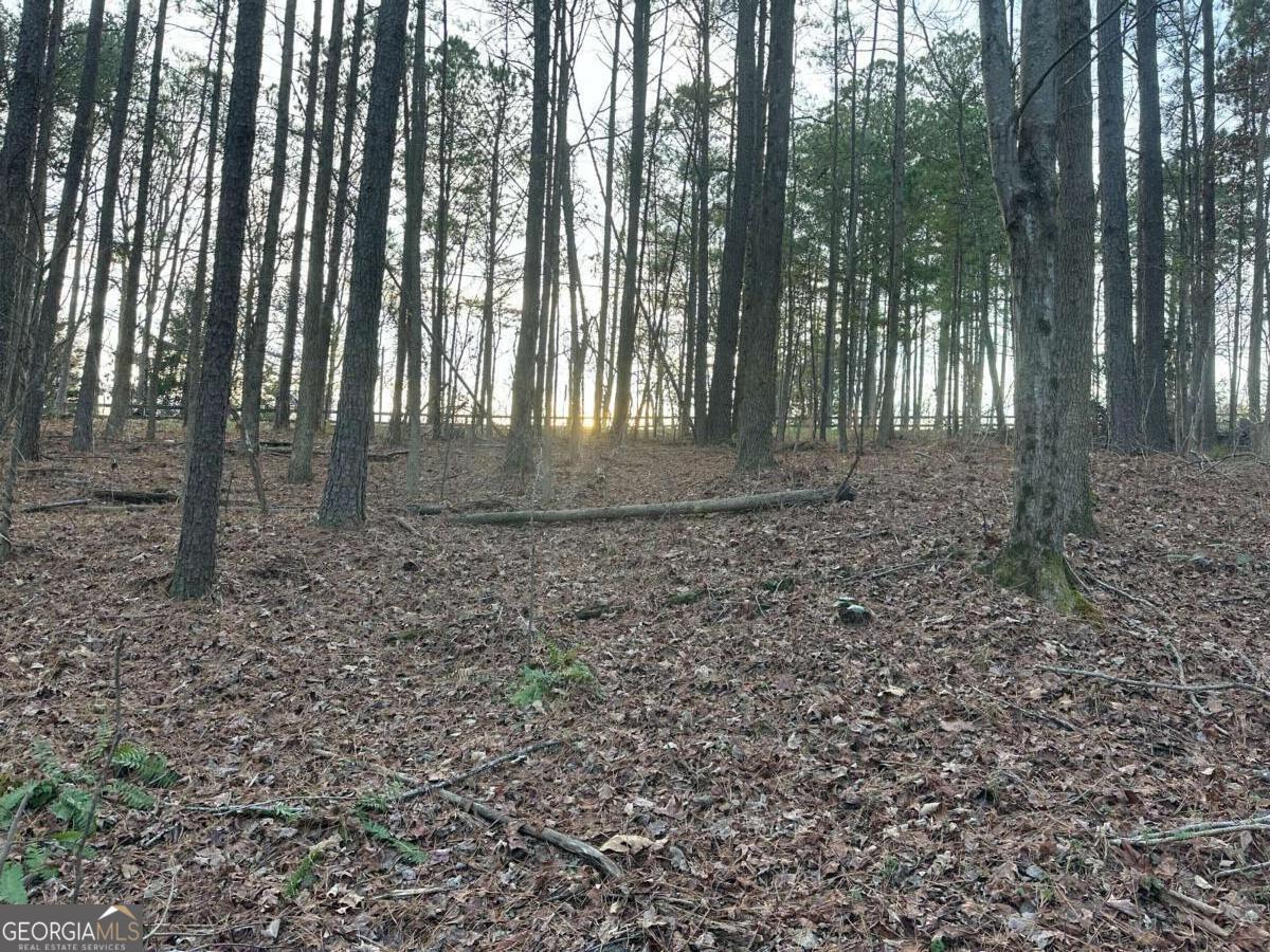 810 Bagwell Trail Waleska GA 30183