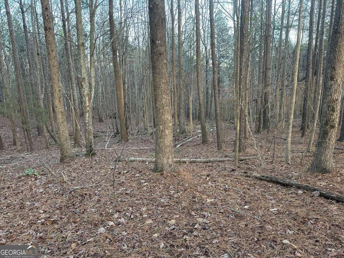 810 Bagwell Trail Waleska GA 30183