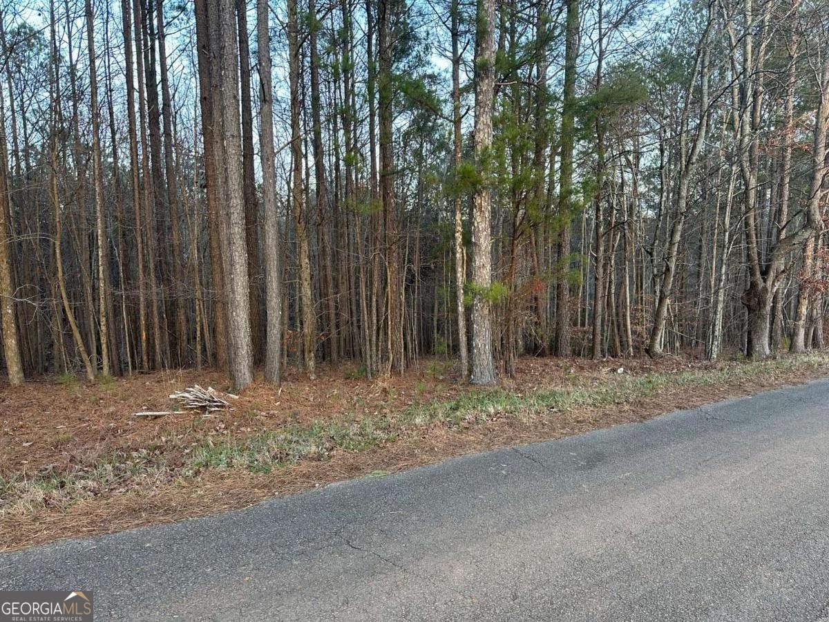 810 Bagwell Trail Waleska GA 30183