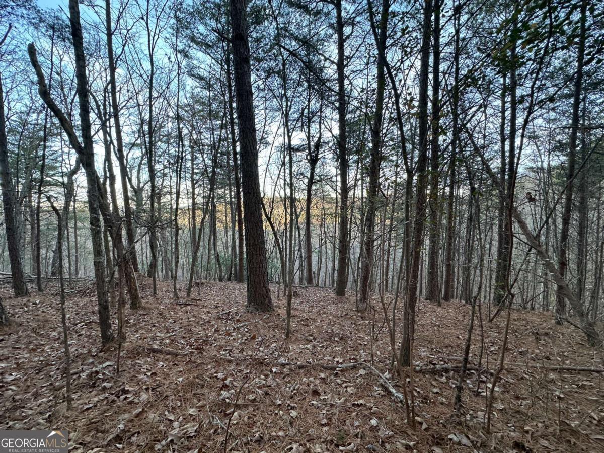 810 Bagwell Trail Waleska GA 30183