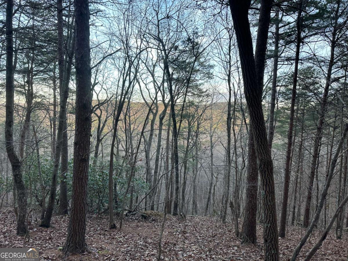 810 Bagwell Trail Waleska GA 30183
