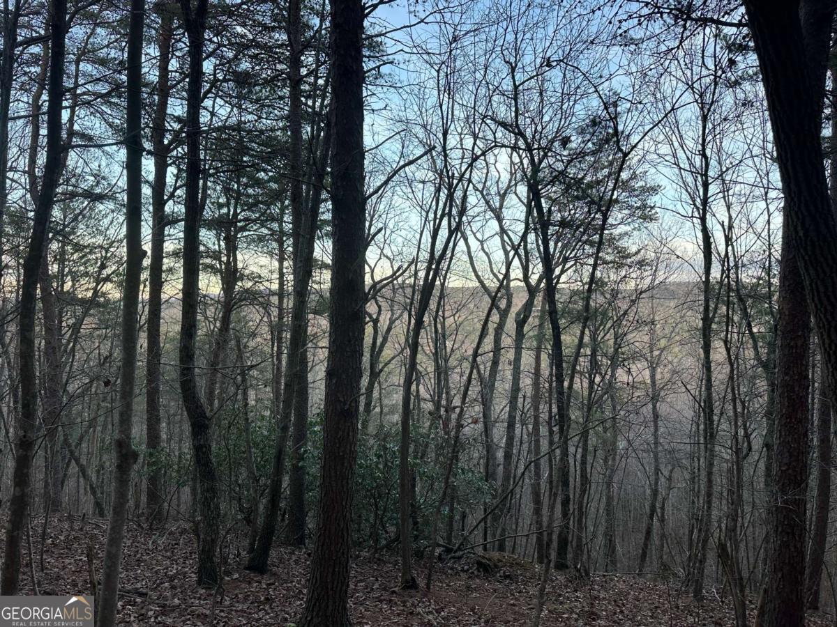 810 Bagwell Trail Waleska GA 30183