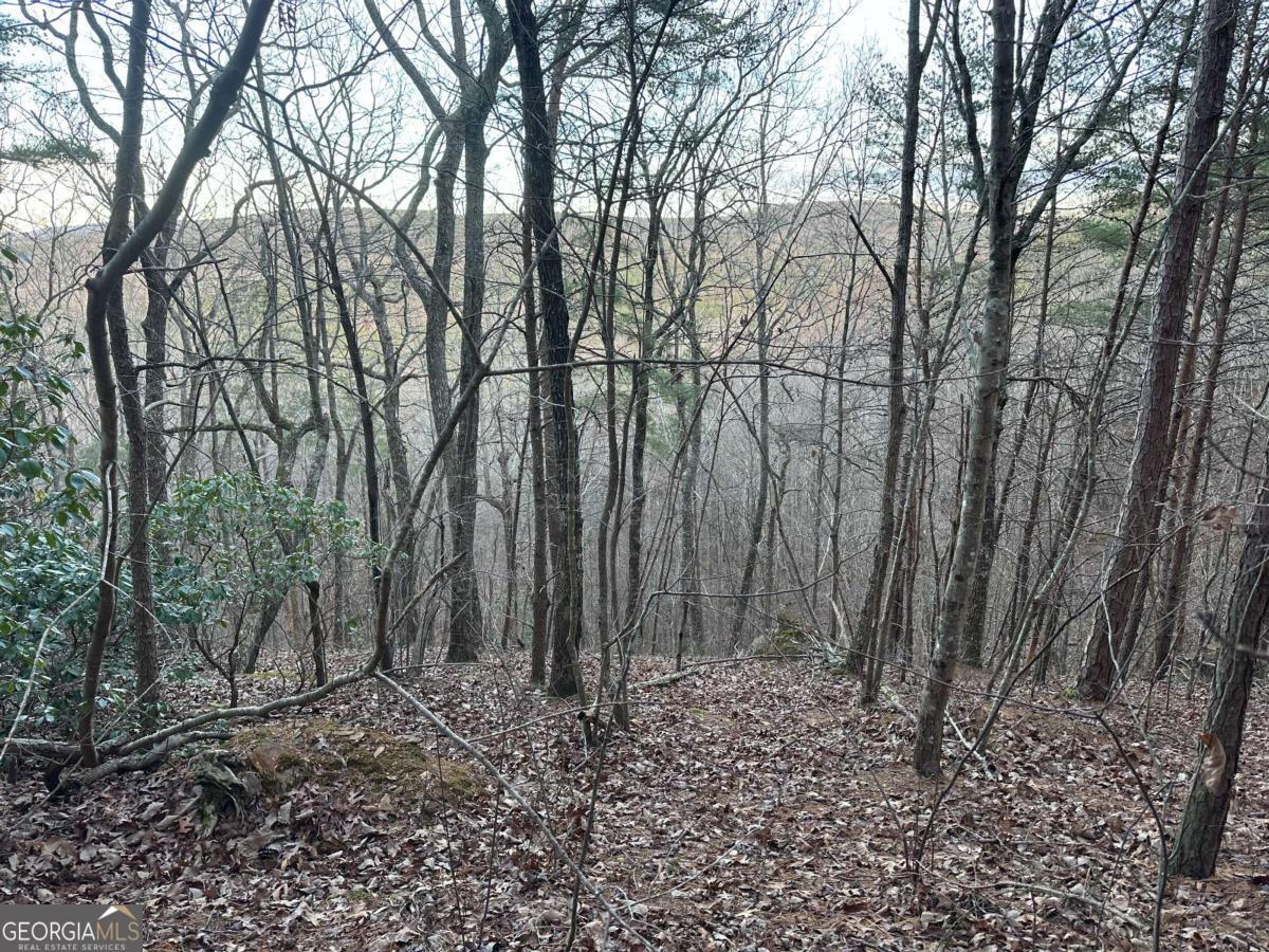 810 Bagwell Trail Waleska GA 30183