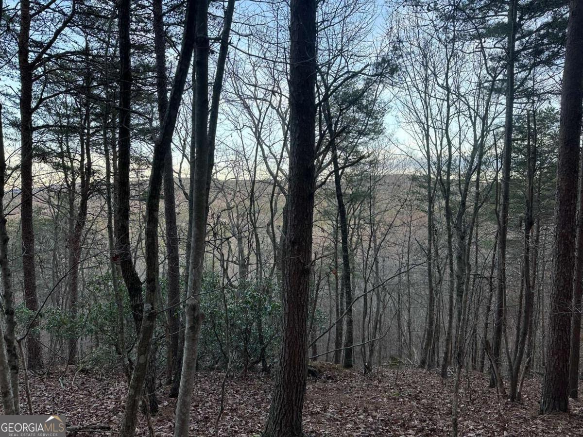 810 Bagwell Trail Waleska GA 30183