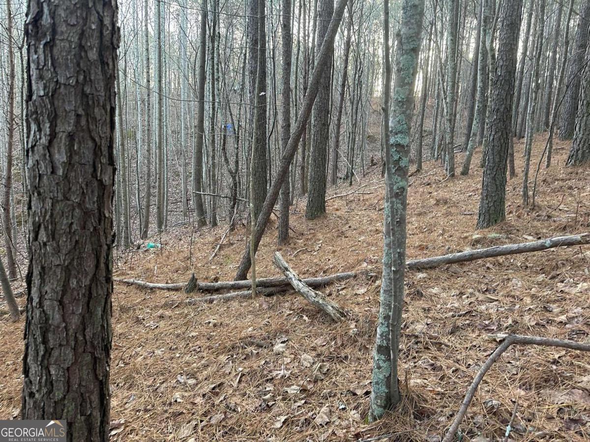 810 Bagwell Trail Waleska GA 30183