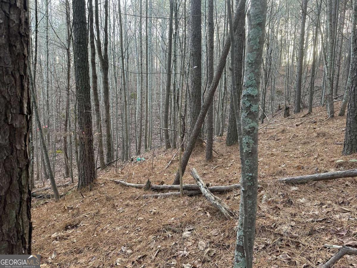 810 Bagwell Trail Waleska GA 30183