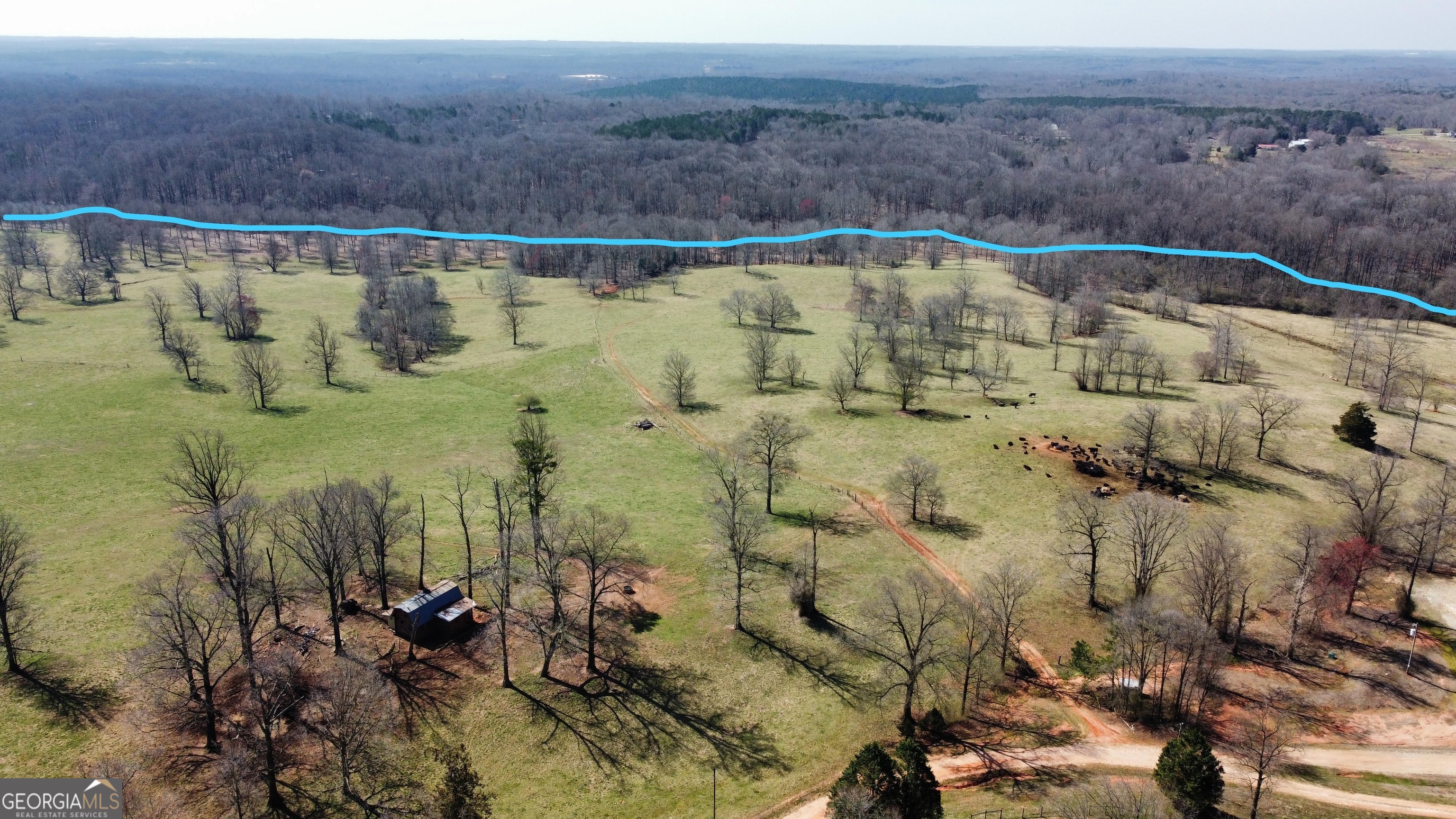 2090 Southern Seed Way Carnesville GA 30521