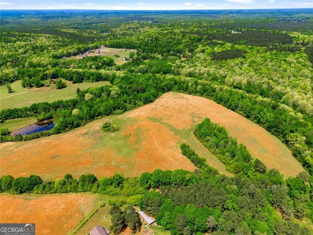 0 Highway 330 Statham GA 30666
