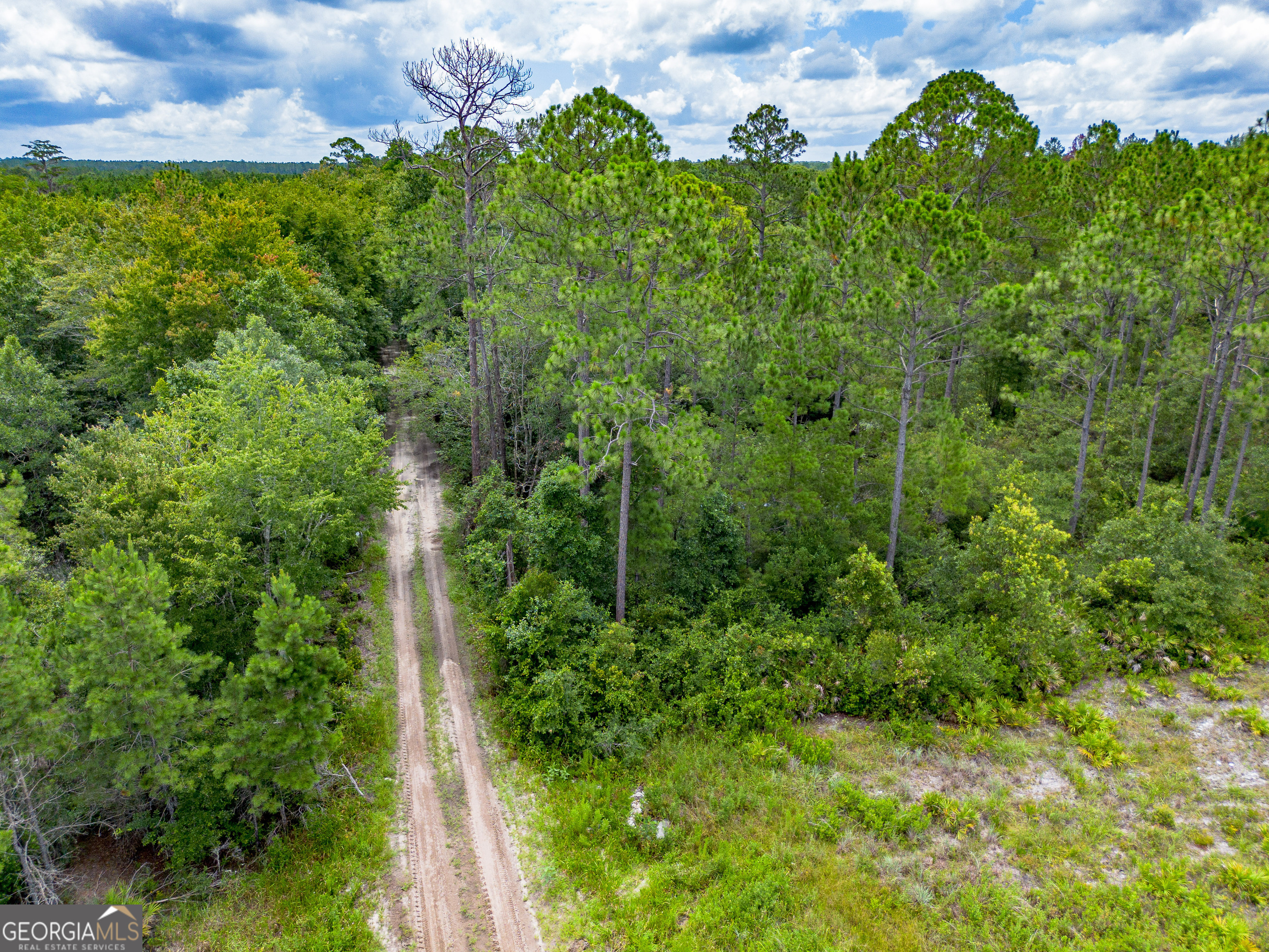 Tract 1 Sunset Boulevard Jesup GA 31546