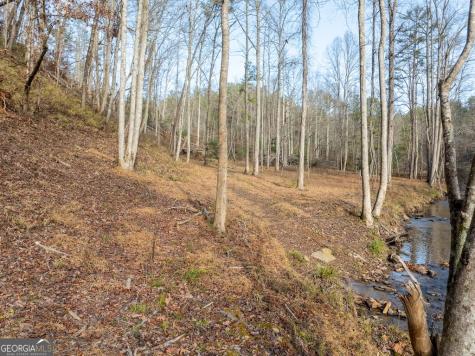 780 Banks Road Ellijay GA 30540
