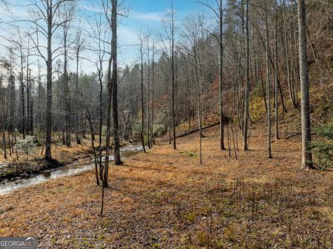 780 Banks Road Ellijay GA 30540