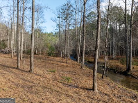 780 Banks Road Ellijay GA 30540