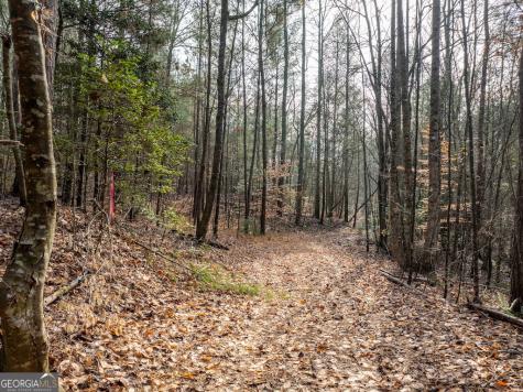 780 Banks Road Ellijay GA 30540