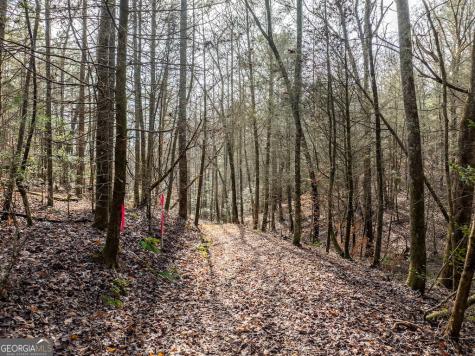 780 Banks Road Ellijay GA 30540