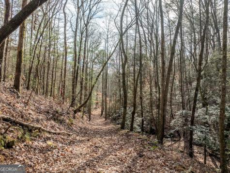 780 Banks Road Ellijay GA 30540