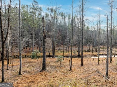 780 Banks Road Ellijay GA 30540