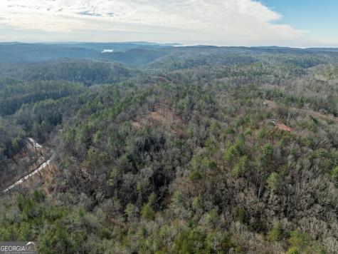 780 Banks Road Ellijay GA 30540