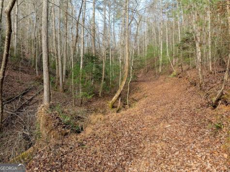 780 Banks Road Ellijay GA 30540