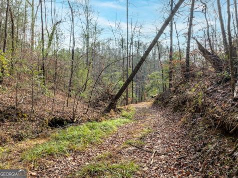 780 Banks Road Ellijay GA 30540