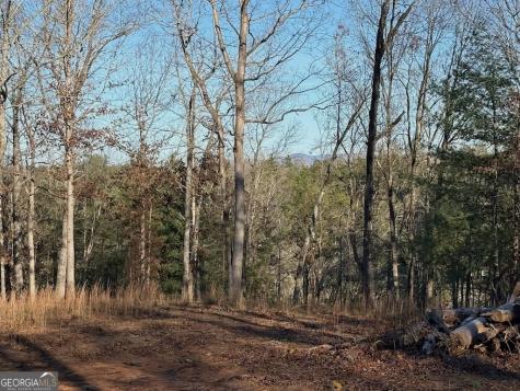 780 Banks Road Ellijay GA 30540