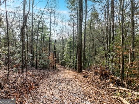 780 Banks Road Ellijay GA 30540