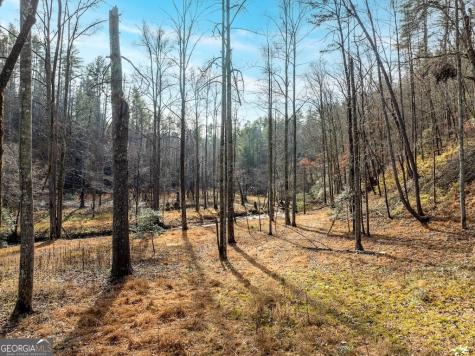 780 Banks Road Ellijay GA 30540