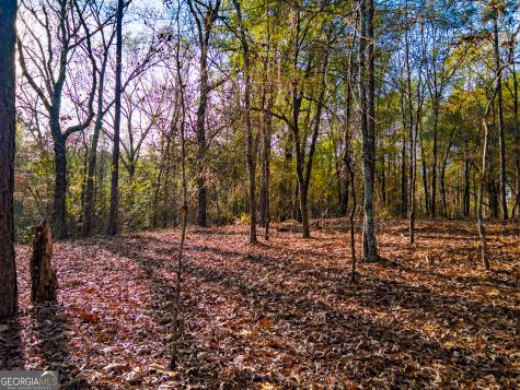 0 Roberta Highway Butler GA 31006