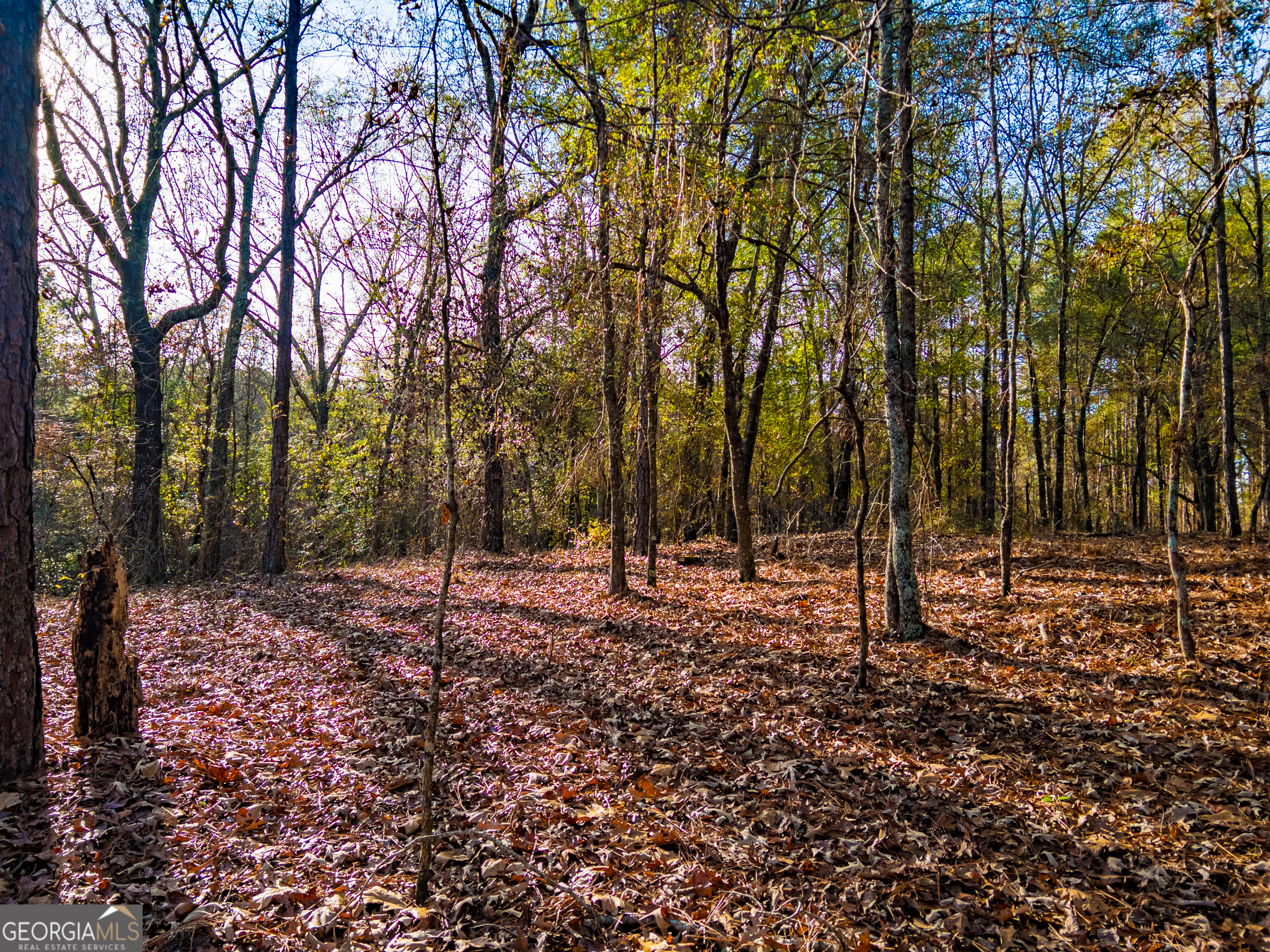 0 Roberta Highway Butler GA 31006