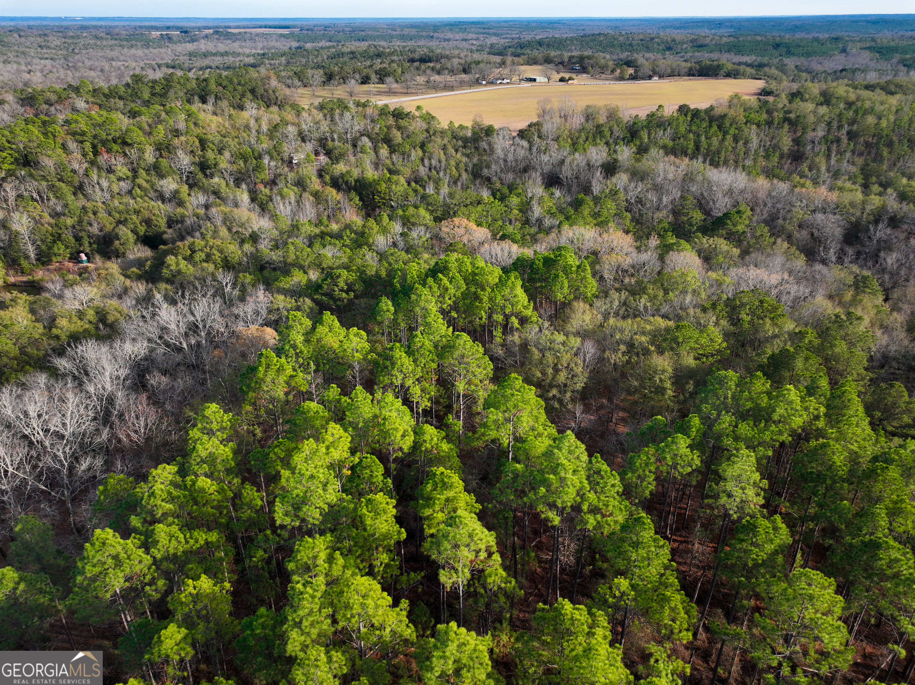 0 Roberta Highway Butler GA 31006